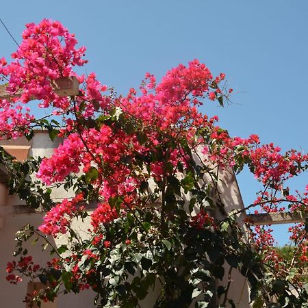 Villa Teti - Sicilia 坎波菲利斯·迪·罗切 外观 照片