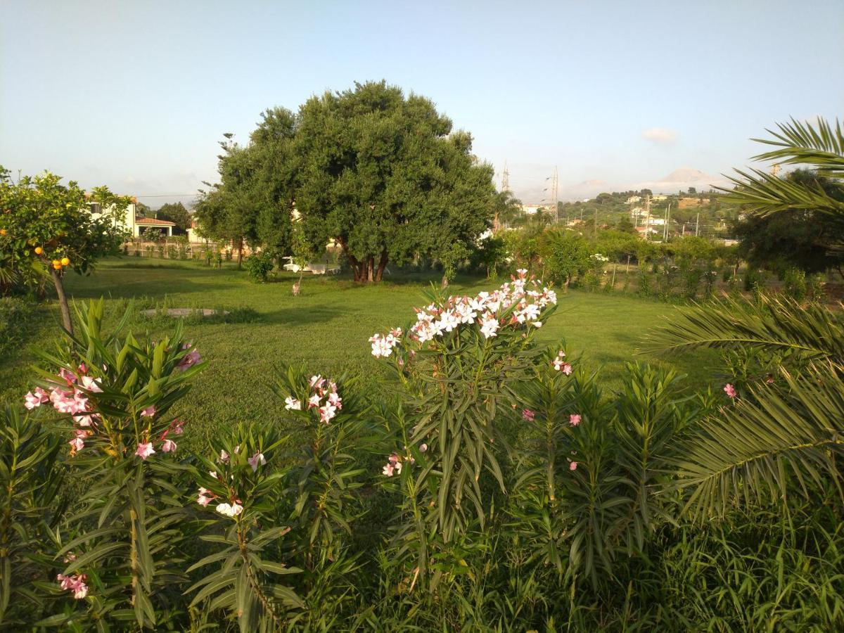 Villa Teti - Sicilia 坎波菲利斯·迪·罗切 外观 照片