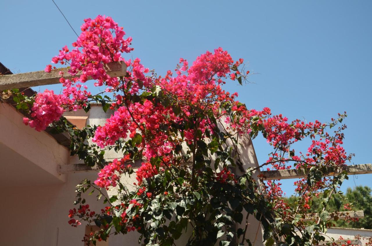 Villa Teti - Sicilia 坎波菲利斯·迪·罗切 外观 照片