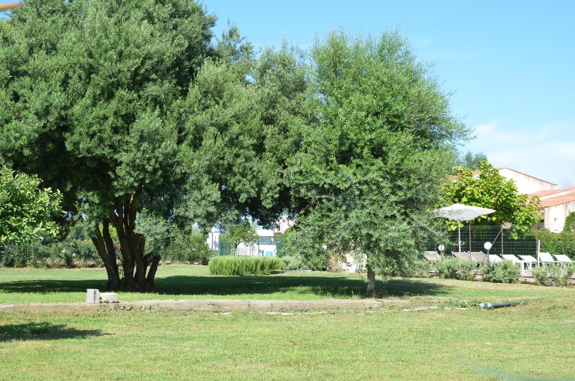Villa Teti - Sicilia 坎波菲利斯·迪·罗切 外观 照片